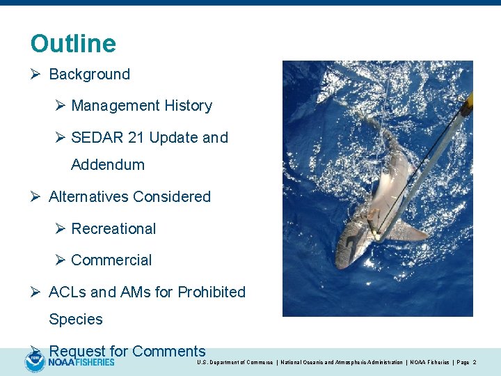 Outline Ø Background Ø Management History Ø SEDAR 21 Update and Addendum Ø Alternatives
