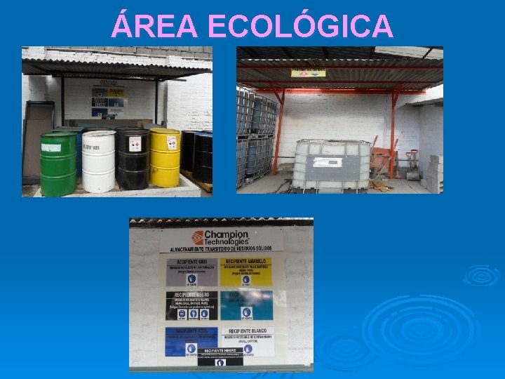 ÁREA ECOLÓGICA 