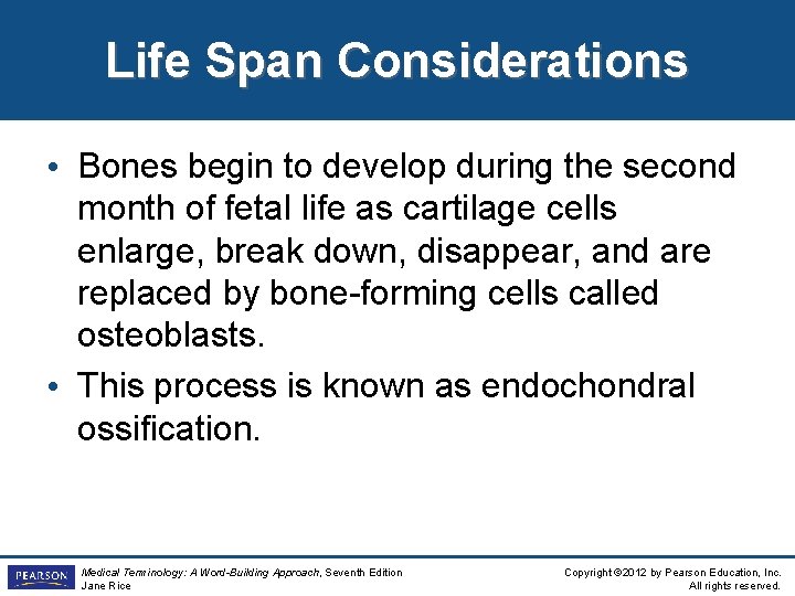Life Span Considerations • Bones begin to develop during the second month of fetal