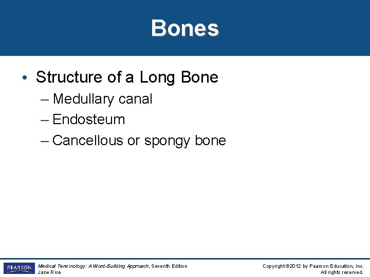 Bones • Structure of a Long Bone – Medullary canal – Endosteum – Cancellous