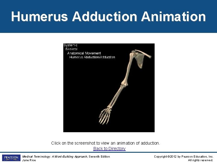 Humerus Adduction Animation Click on the screenshot to view an animation of adduction. Back