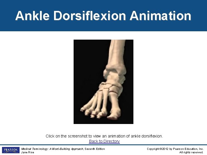 Ankle Dorsiflexion Animation Click on the screenshot to view an animation of ankle dorsiflexion.