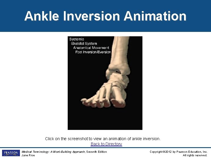 Ankle Inversion Animation Click on the screenshot to view an animation of ankle inversion.