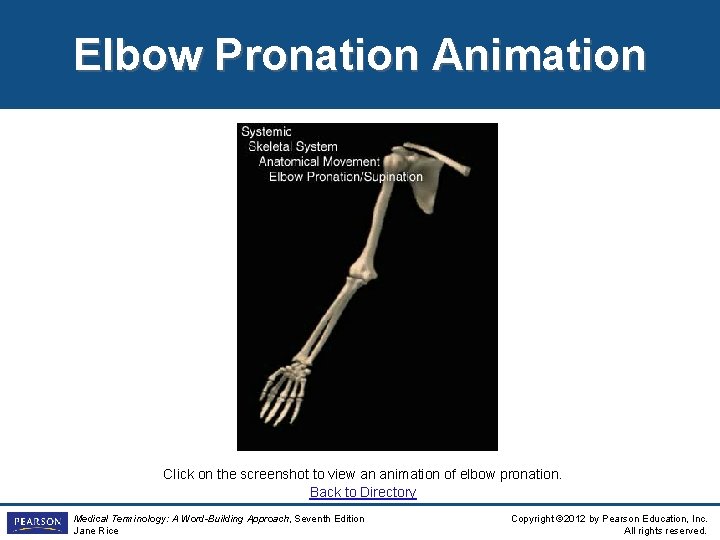 Elbow Pronation Animation Click on the screenshot to view an animation of elbow pronation.