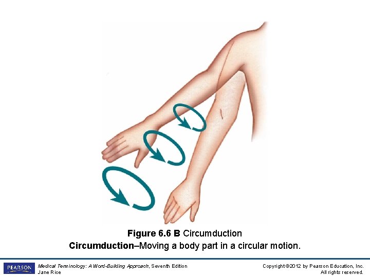 Figure 6. 6 B Circumduction–Moving a body part in a circular motion. Medical Terminology: