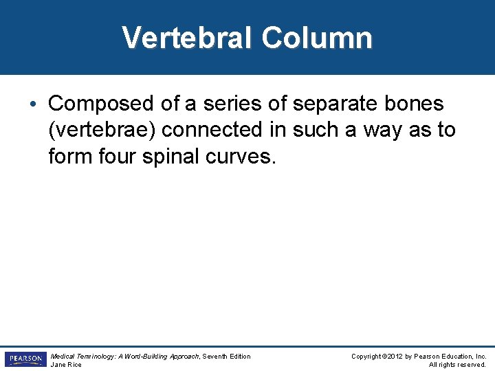 Vertebral Column • Composed of a series of separate bones (vertebrae) connected in such