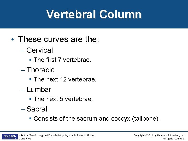 Vertebral Column • These curves are the: – Cervical § The first 7 vertebrae.