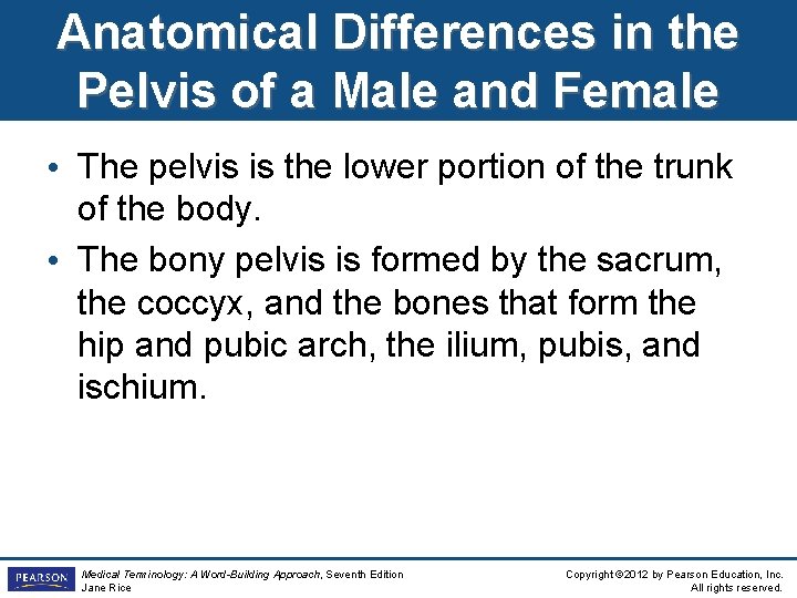 Anatomical Differences in the Pelvis of a Male and Female • The pelvis is