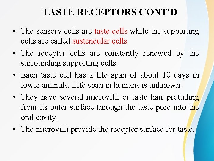 TASTE RECEPTORS CONT'D • The sensory cells are taste cells while the supporting cells