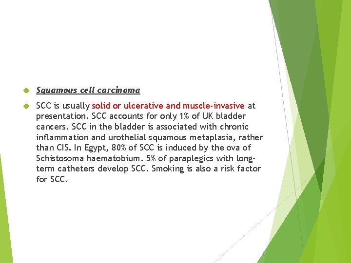  Squamous cell carcinoma SCC is usually solid or ulcerative and muscle-invasive at presentation.