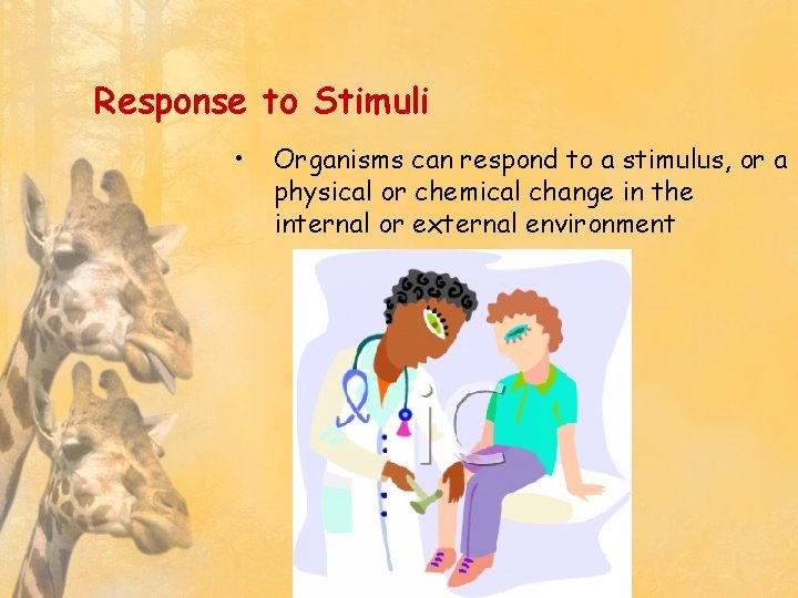 Response to Stimuli • Organisms can respond to a stimulus, or a physical or