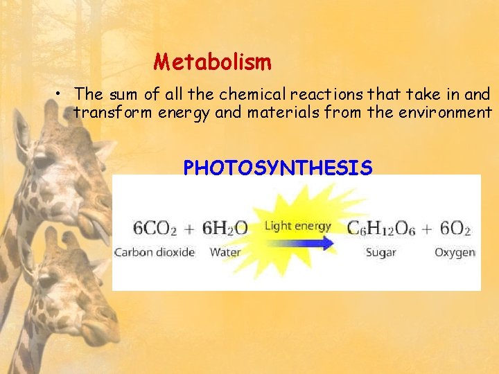 Metabolism • The sum of all the chemical reactions that take in and transform