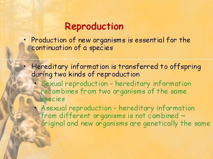 Reproduction • Production of new organisms is essential for the continuation of a species