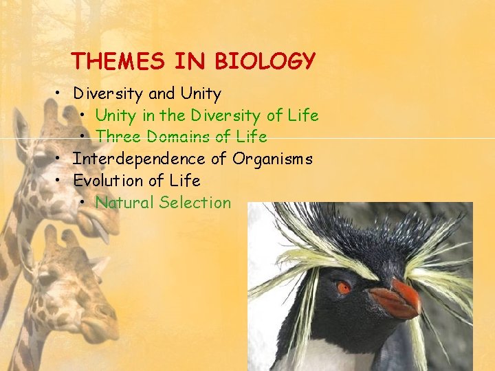 THEMES IN BIOLOGY • Diversity and Unity • Unity in the Diversity of Life