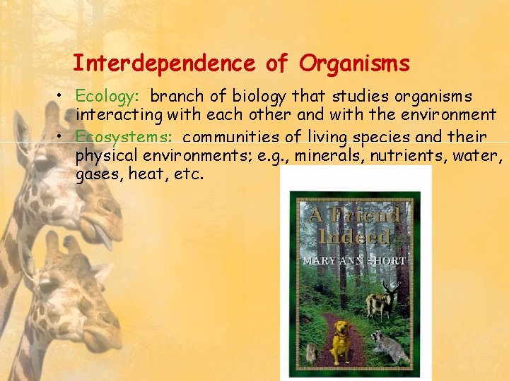 Interdependence of Organisms • Ecology: branch of biology that studies organisms interacting with each