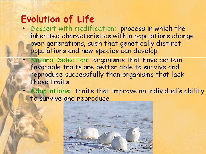 Evolution of Life • Descent with modification: process in which the inherited characteristics within