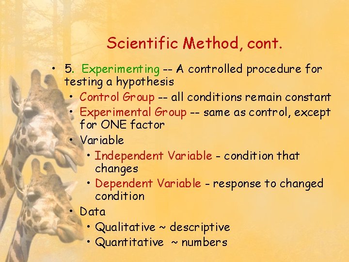 Scientific Method, cont. • 5. Experimenting -- A controlled procedure for testing a hypothesis