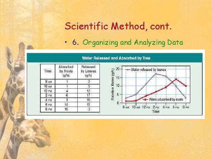 Scientific Method, cont. • 6. Organizing and Analyzing Data 