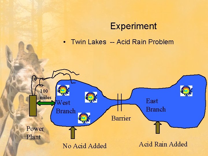 Experiment • Twin Lakes -- Acid Rain Problem 100 miles West Branch Power Plant