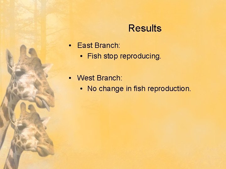 Results • East Branch: • Fish stop reproducing. • West Branch: • No change