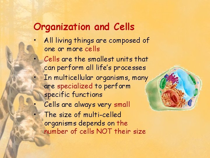 Organization and Cells • • • All living things are composed of one or