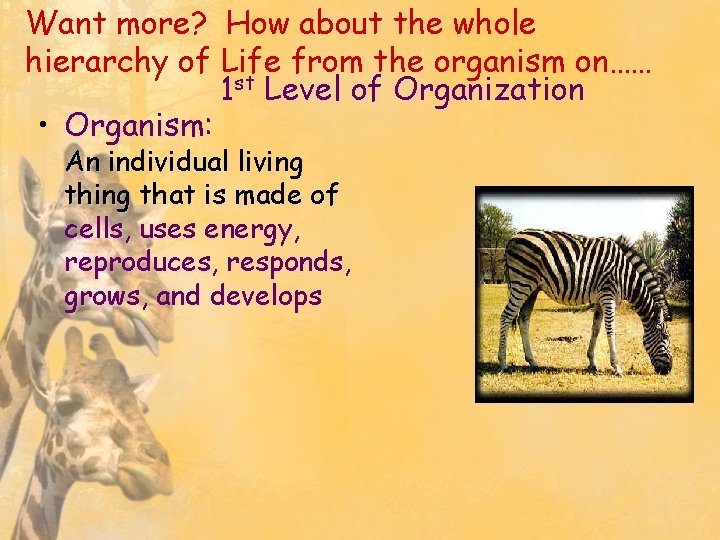 Want more? How about the whole hierarchy of Life from the organism on…… 1
