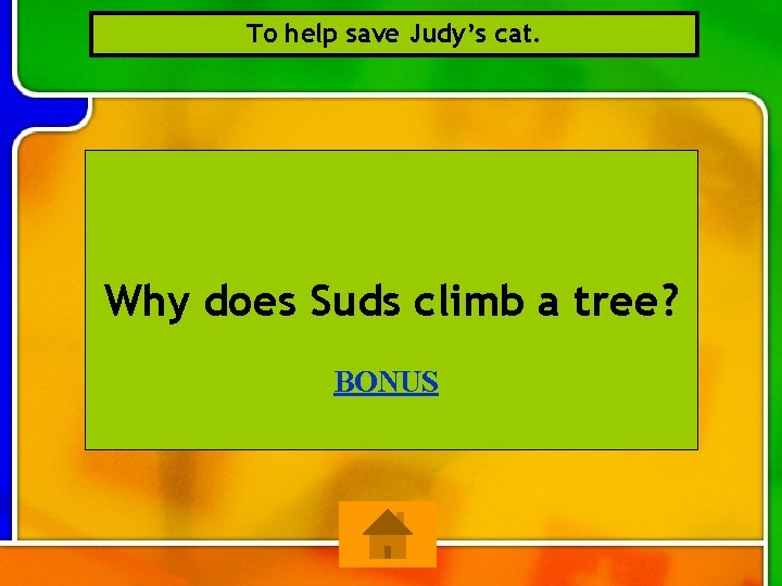 To help save Judy’s cat. Why does Suds climb a tree? BONUS 