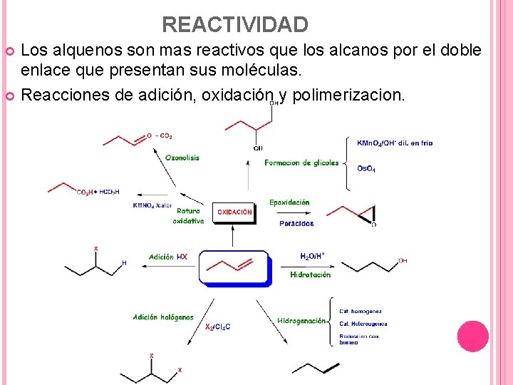 REACTIVIDAD Los alquenos son mas reactivos que los alcanos por el doble enlace que