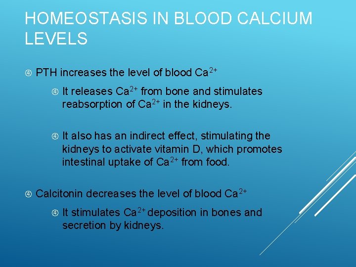HOMEOSTASIS IN BLOOD CALCIUM LEVELS PTH increases the level of blood Ca 2+ It