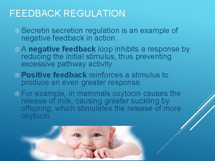 FEEDBACK REGULATION Secretin secretion regulation is an example of negative feedback in action. A