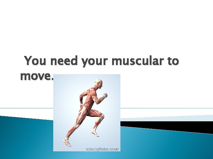 You need your muscular to move. 