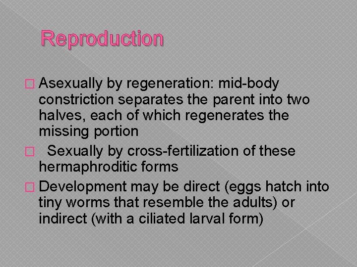 Reproduction � Asexually by regeneration: mid-body constriction separates the parent into two halves, each