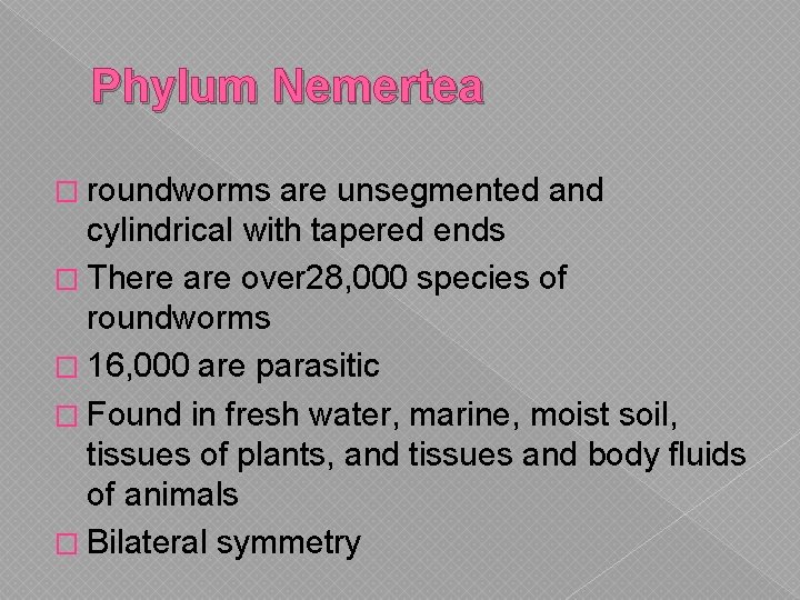 Phylum Nemertea � roundworms are unsegmented and cylindrical with tapered ends � There are