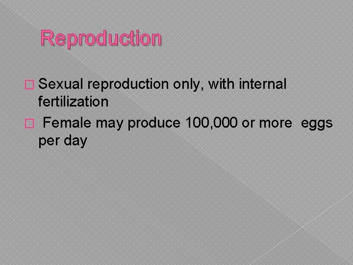 Reproduction � Sexual reproduction only, with internal fertilization � Female may produce 100, 000