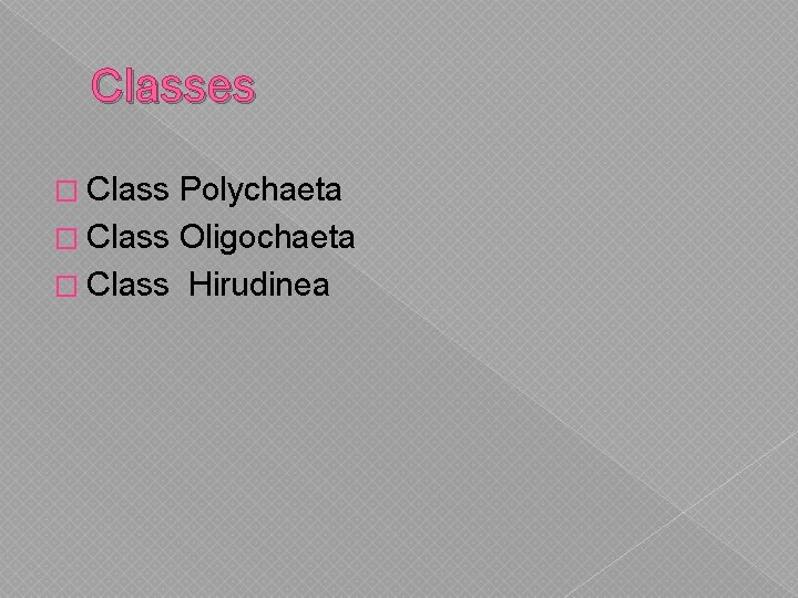 Classes � Class Polychaeta � Class Oligochaeta � Class Hirudinea 