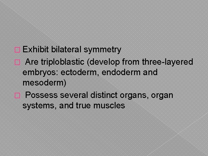 � Exhibit bilateral symmetry � Are triploblastic (develop from three-layered embryos: ectoderm, endoderm and