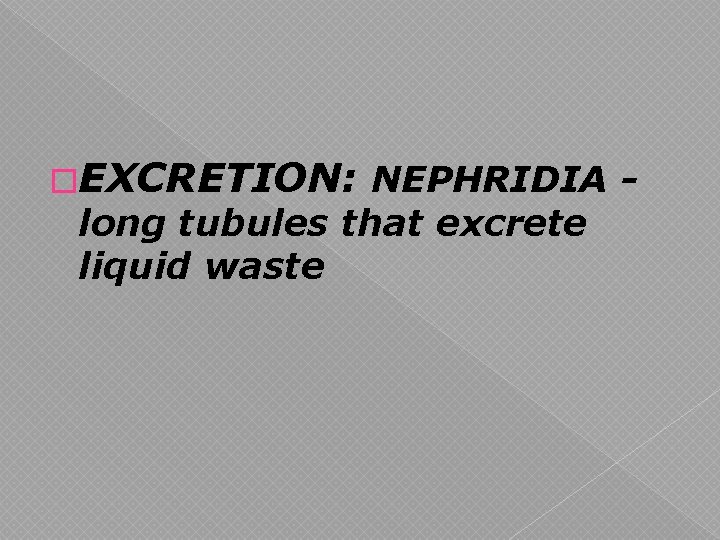 �EXCRETION: NEPHRIDIA - long tubules that excrete liquid waste �EXCRETION: NEPHRIDIA - long tubules that excrete liquid waste
