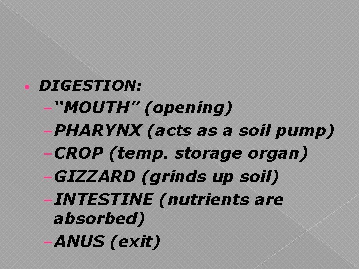  • DIGESTION: – “MOUTH” (opening) – PHARYNX (acts as a soil pump) –