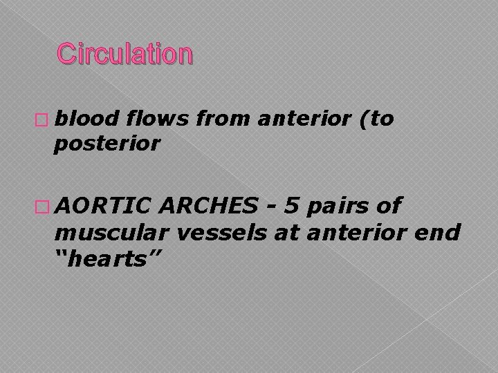 Circulation � blood flows from anterior (to posterior � AORTIC ARCHES - 5 pairs