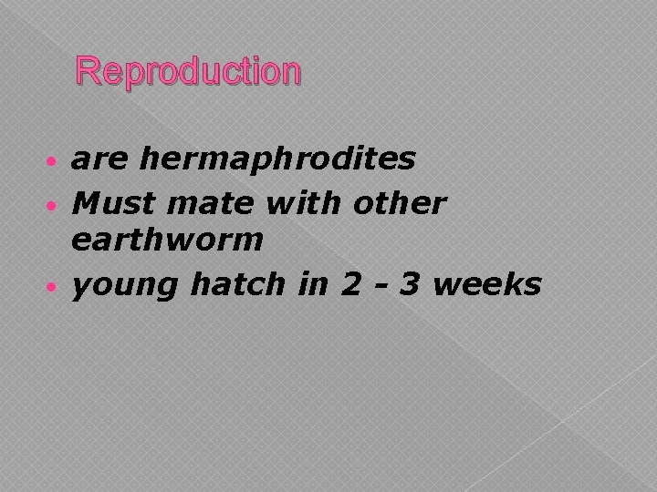Reproduction are hermaphrodites • Must mate with other earthworm • young hatch in 2 Reproduction are hermaphrodites • Must mate with other earthworm • young hatch in 2