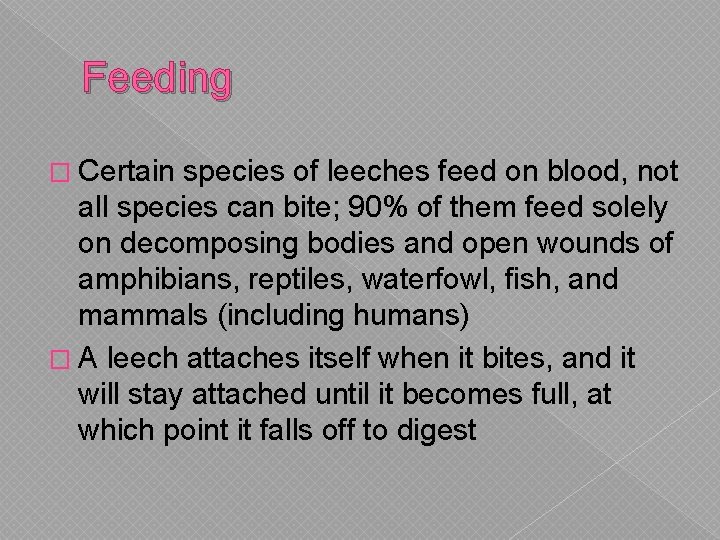 Feeding � Certain species of leeches feed on blood, not all species can bite; Feeding � Certain species of leeches feed on blood, not all species can bite;