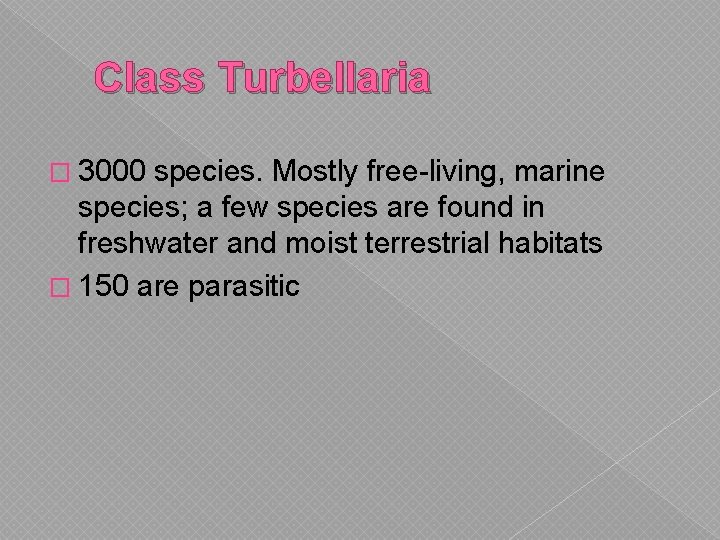 Class Turbellaria � 3000 species. Mostly free-living, marine species; a few species are found Class Turbellaria � 3000 species. Mostly free-living, marine species; a few species are found