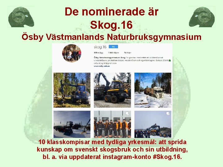 De nominerade är Skog. 16 Ösby Västmanlands Naturbruksgymnasium 10 klasskompisar med tydliga yrkesmål: att