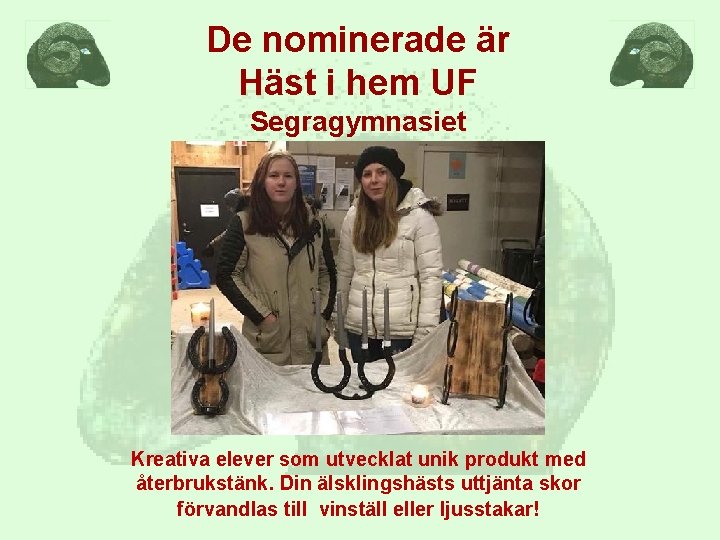 De nominerade är Häst i hem UF Segragymnasiet Kreativa elever som utvecklat unik produkt