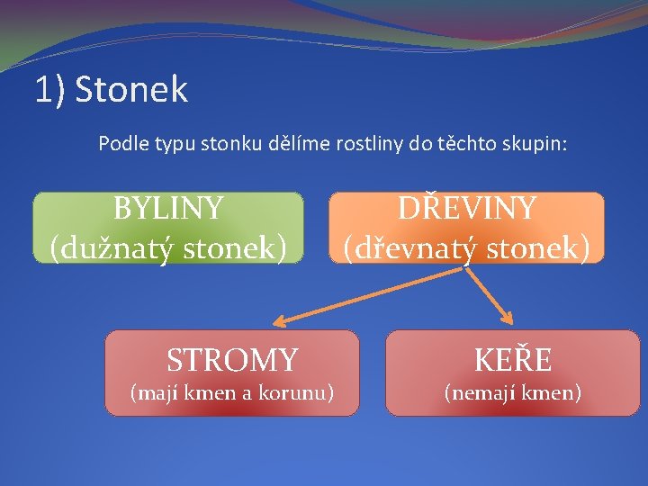 1) Stonek Podle typu stonku dělíme rostliny do těchto skupin: BYLINY (dužnatý stonek) STROMY