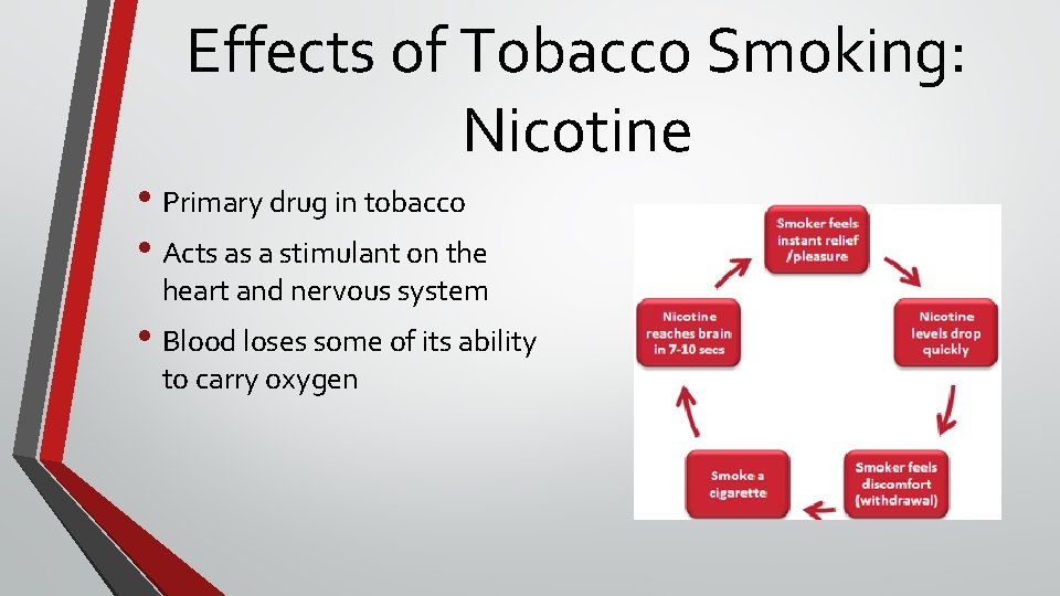 Effects of Tobacco Smoking: Nicotine • Primary drug in tobacco • Acts as a