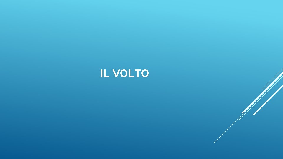 IL VOLTO 