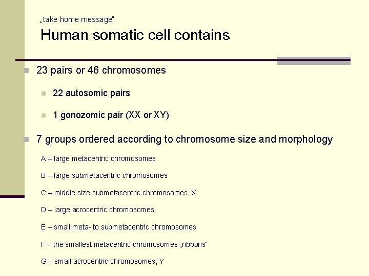 „take home message“ Human somatic cell contains n 23 pairs or 46 chromosomes n