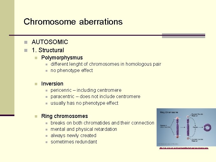 Chromosome aberrations n AUTOSOMIC n 1. Structural n Polymorphysmus n n n Inversion n