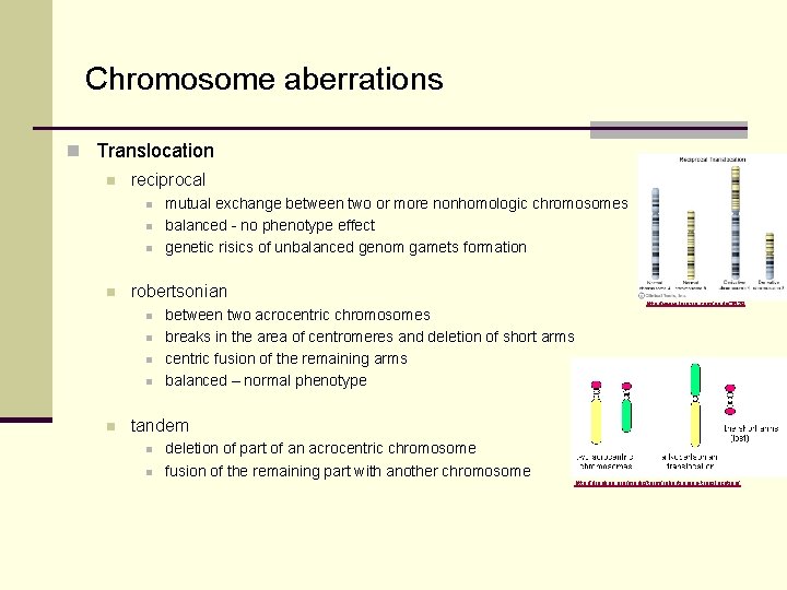 Chromosome aberrations n Translocation n reciprocal n n robertsonian n n mutual exchange between